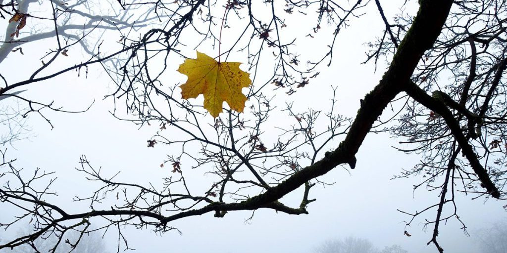 Alta pressione atmosferica mantiene il clima secco e mite in NRW