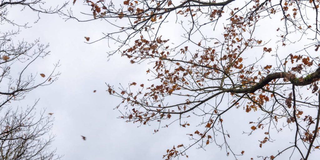 Es kommt dicke in NRW – Wetter-Expertin warnt auch Urlauber