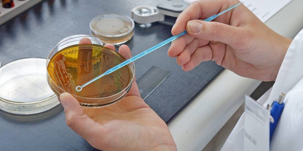 RKI avverte: aumento dei casi di virus con febbre alta e forte mal di testa in Germania