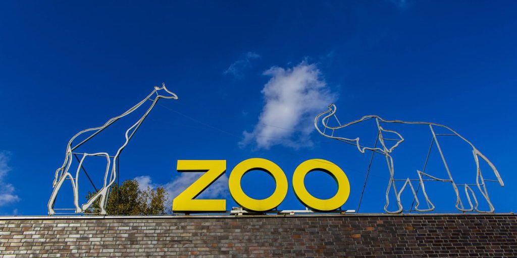 NRW-Zoo sorgt für traurige Gewissheit – es geht um einen Besucherliebling