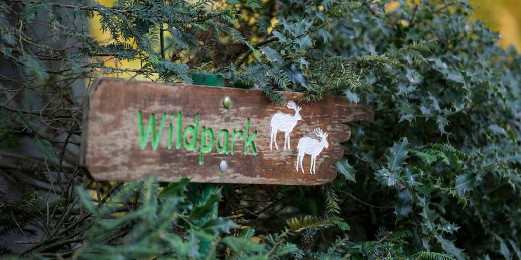 Animale scomparso in parco zoologico del NRW: indagini in corso