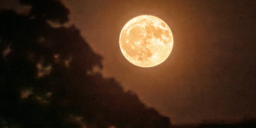 Tre segni zodiacali di fronte a novembre difficile: sfide e opportunità per crescere e superare le difficoltà