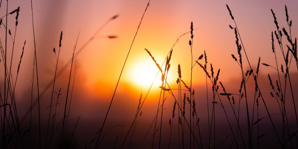 NRW bleibt verschont – plötzlich kommt es beim Wetter zur Kehrtwende!