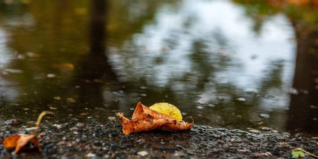 Previsioni del tempo in Renania Settentrionale-Vestfalia: una svolta imminente dopo la pioggia e il freddo