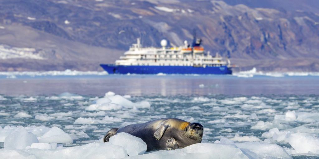 Crociera in Antartide lascia i passeggeri senza parole