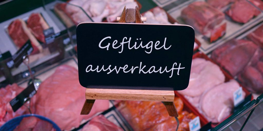 Vogelgrippe: la minaccia alla disponibilità di prodotti alimentari e le possibili conseguenze sulla salute pubblica e sull'economia