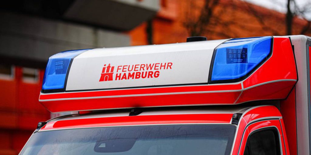 Uomo inseguito dalla polizia al mercato di Natale di Amburgo finisce in acqua ghiacciata