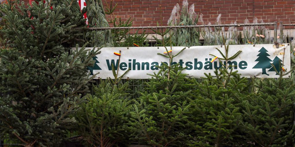 Attenzione al trasporto dell’albero di Natale: un piccolo errore può costare una multa salata