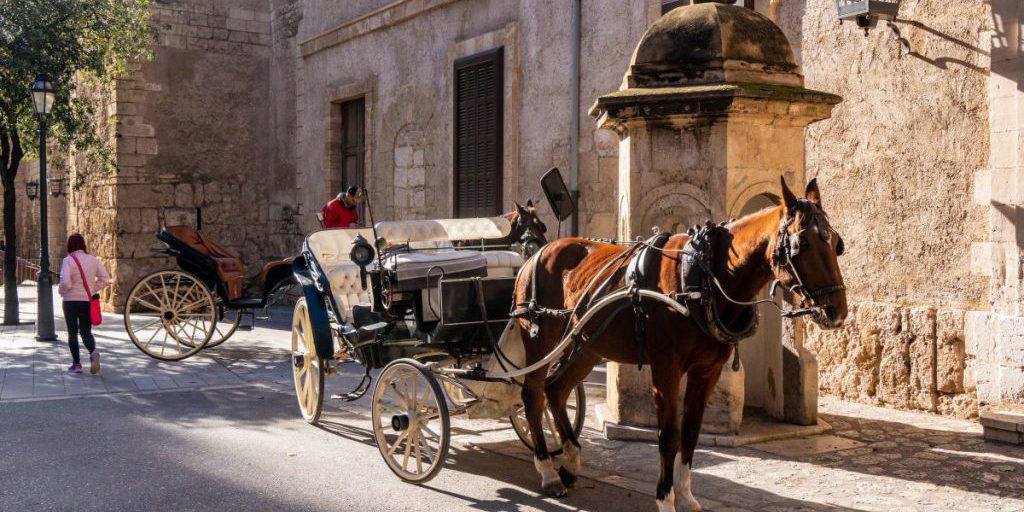 Erneuter Kutschen-Kollaps in Palma: Mallorca-Touristen entsetzt über Tierquälerei