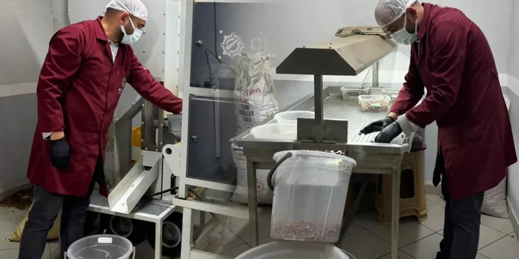 Richiesta di invio del testo originale per la riscrittura