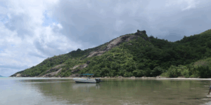 L'Oceano in Pericolo: È Giunto il Momento di Agire per Salvare il Futuro del Pianeta