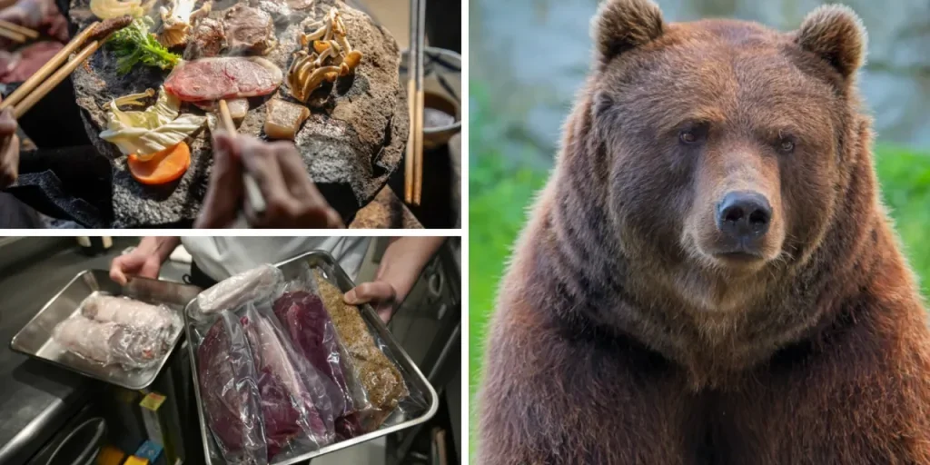 Articolo non ricevuto: richiesta di contenuto per traduzione e ottimizzazione SEO