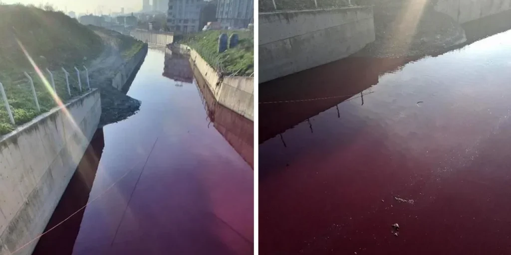 Fiume di Esenyurt a Istanbul diventa rosso a causa di inquinamento industriale