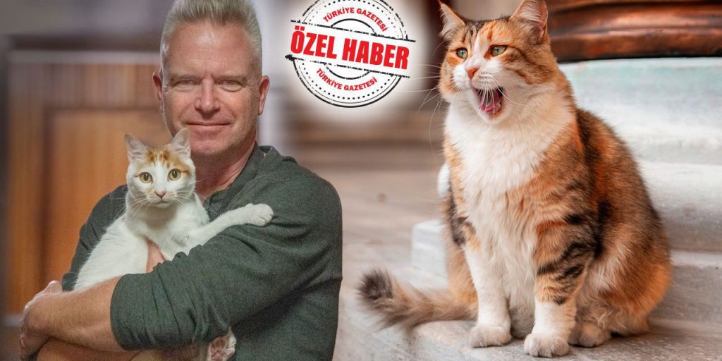 Istanbul la citta' dei gatti: una storia di passione e convivenza urbana