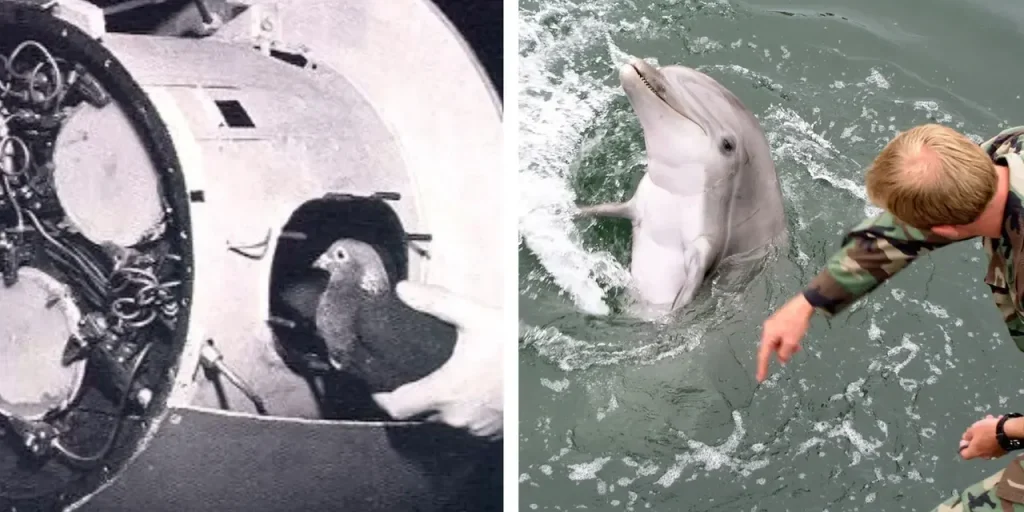 Richiesta di testo originale per procedere con la riscrittura