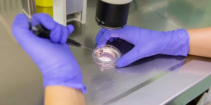 Trump Estende La Copertura Assicurativa Per La Fecondazione In Vitro E Trattamenti Di Fertilita Negli Stati Uniti