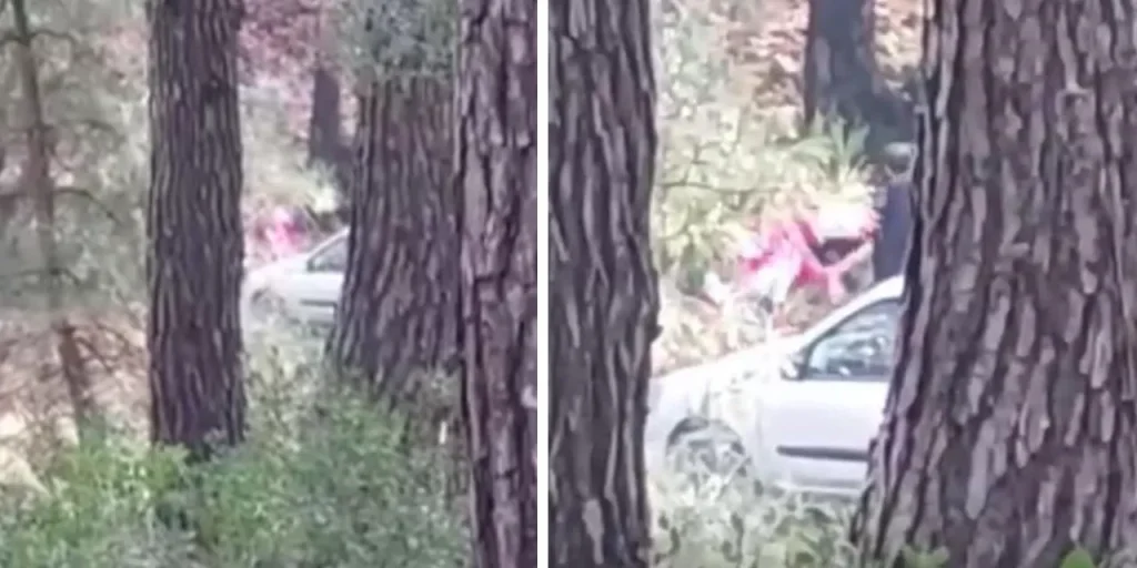 Arrestato sospetto per violenza domestica in zona boschiva di Izmir