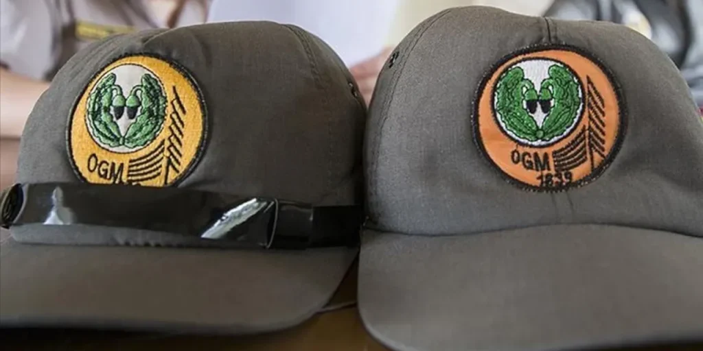 Ministero dell'Agricoltura annuncia 26 nuove posizioni di lavoro nelle foreste: 22 temporanee e 4 permanenti