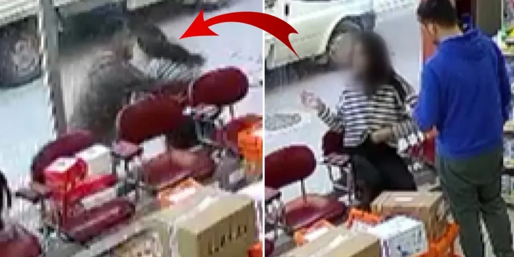 Farmacista di Bursa aggredita: aggressore arrestato dopo tentativo di rimozione dei vestiti