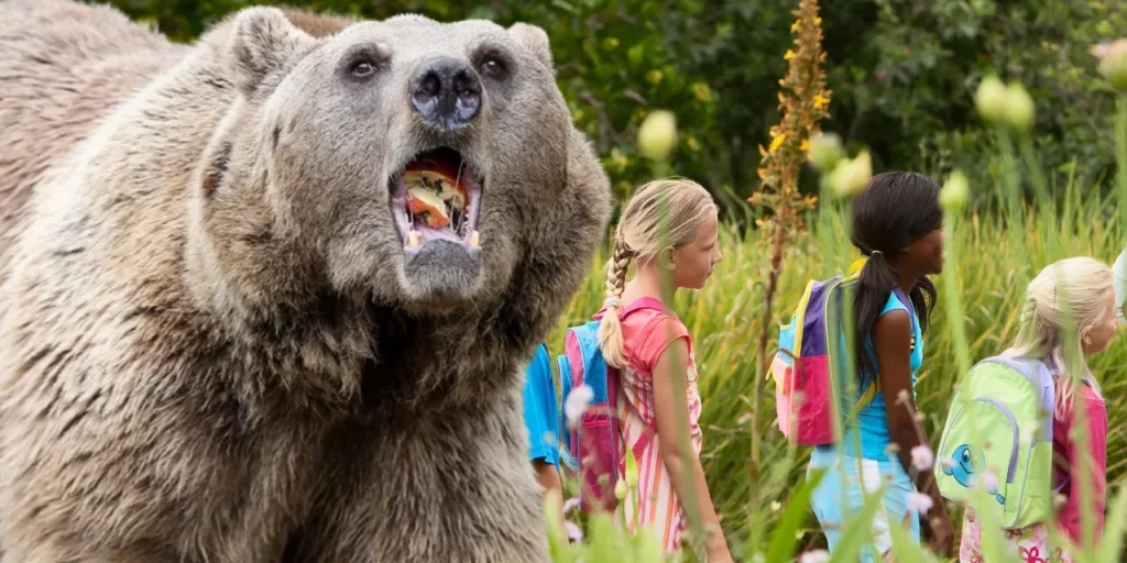 Orso attacca studenti e insegnanti durante gita scolastica a Bella Coola, Canada