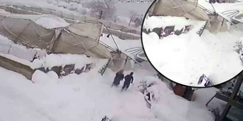 Serra crollata sotto la neve a Karabük: vicini salvano agricoltore, 50 ettari inutilizzabili a Köyceğiz