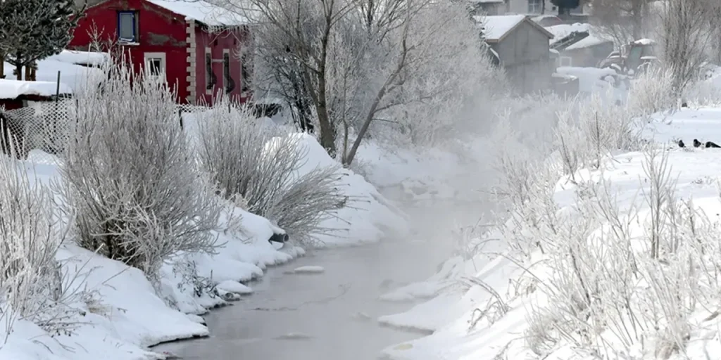 Neve record di 205 cm a Sarıkamış, Turchia.