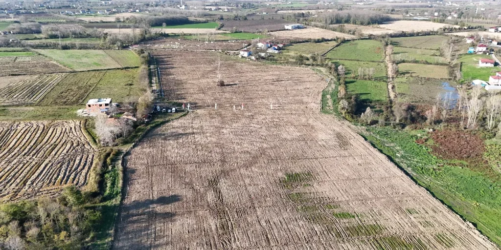 Tekkeköy, Samsun: 100 ettari di fichi per 250 tonnellate e borse di studio per studentesse