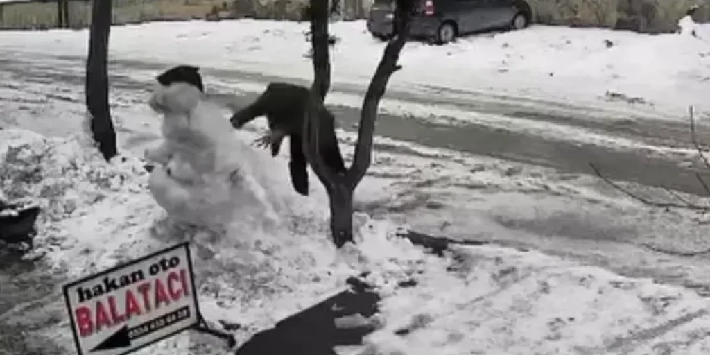 Pupazzi di neve rovesciati: incidenti tra bambini durante il gioco