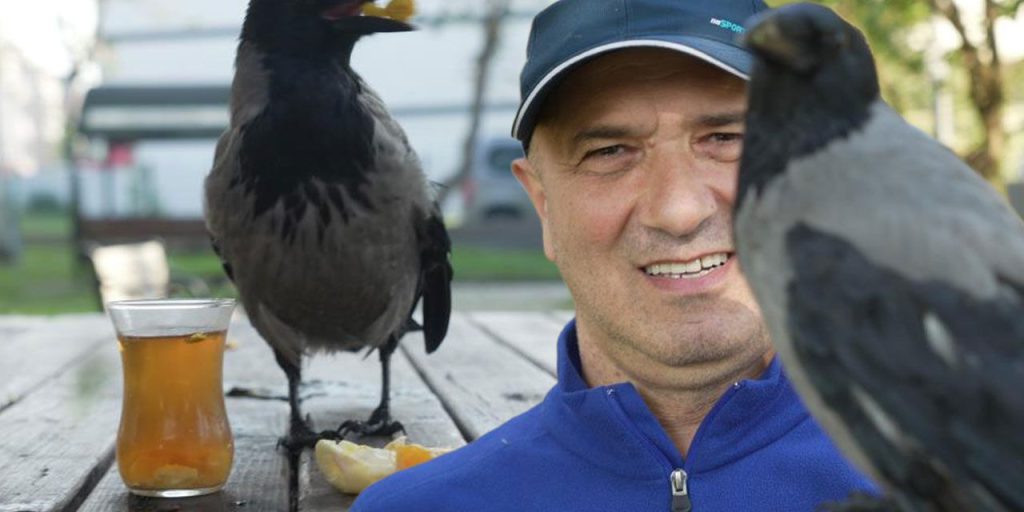 Un Corvo Diventa Membro della Famiglia: La Toccatne Storia di Şakir, il Karga che Ha Conquistato i Cuori della Turchia