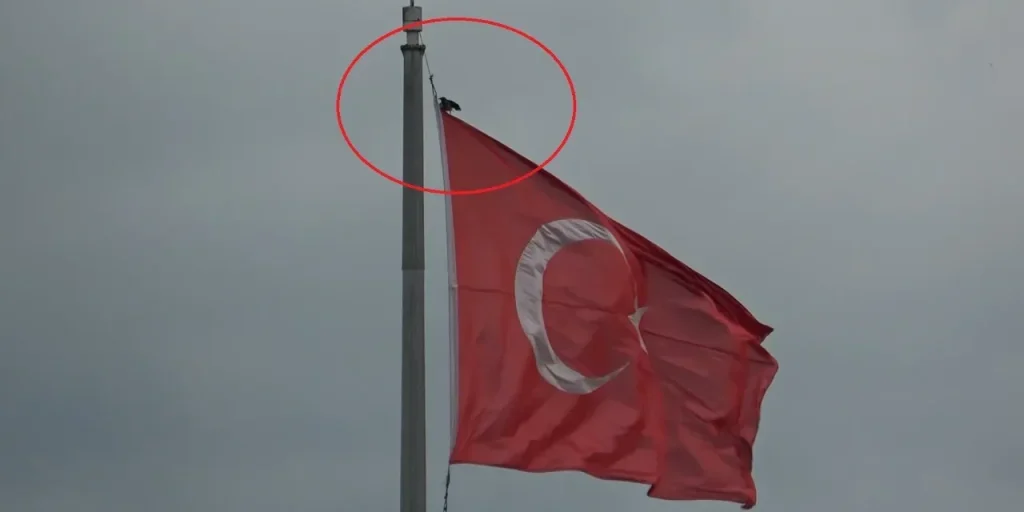 Mi servirebbe il testo completo dell’articolo per poter creare un titolo informativo adeguato. Puoi inviarlo?