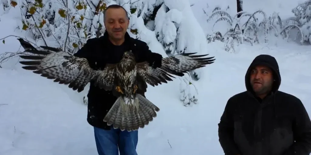 Sopravvivere sul ghiaccio: la lotta contro i predatori