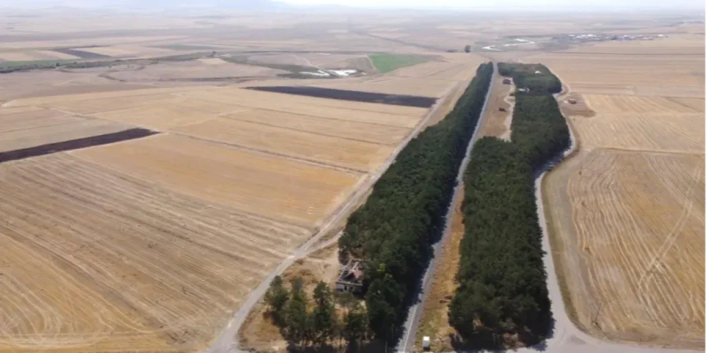 Richiesta di invio del testo dell'articolo non ricevuta