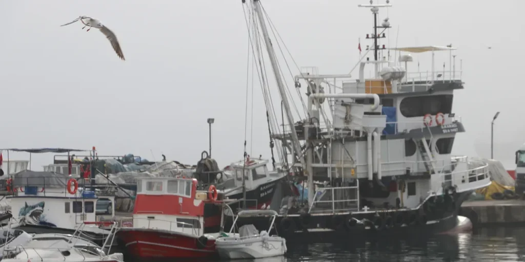 Nebbia a Tekirdağ blocca i pescatori per due giorni