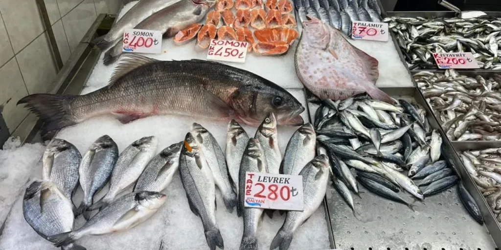 Prezzo del pesce persico a 1000 lira al kg sorprende i cittadini di Düzce