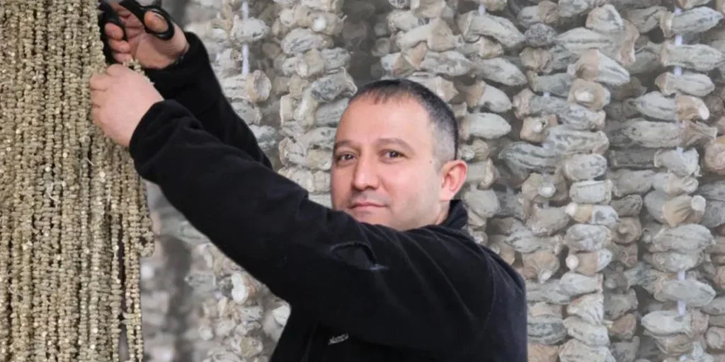 Kuru bamya a Gaziantep: prezzo salito a 2.000 TL al kg ma domanda stabile