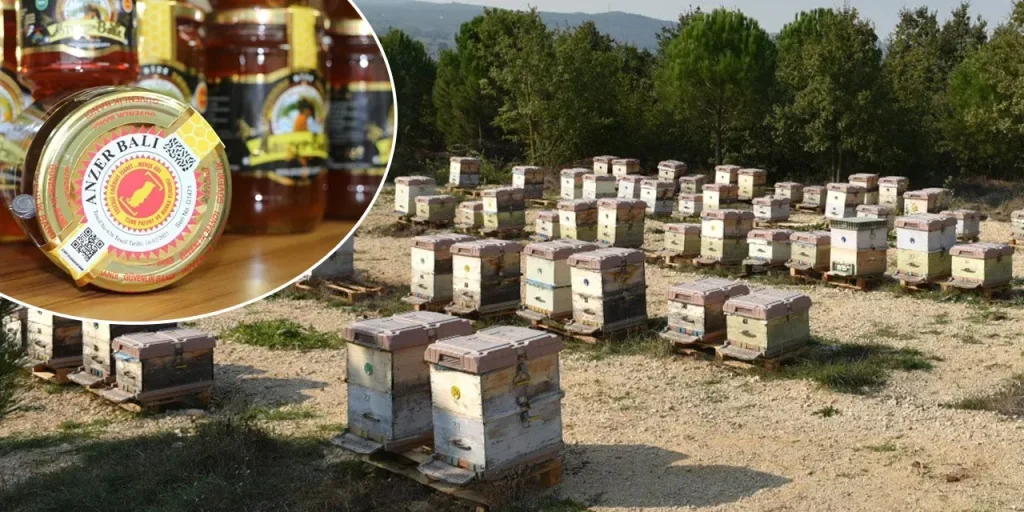 Miele Anzer: 10 tonnellate autentiche, 100 tonnellate contraffatte e frodi sul marchio geografico registrato