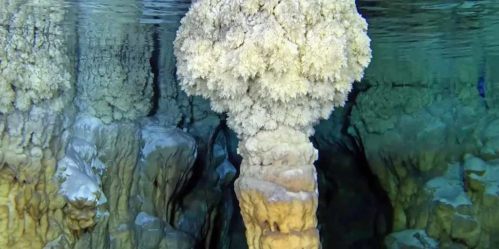 Richiesta di testo originale per procedere alla riscrittura in HTML