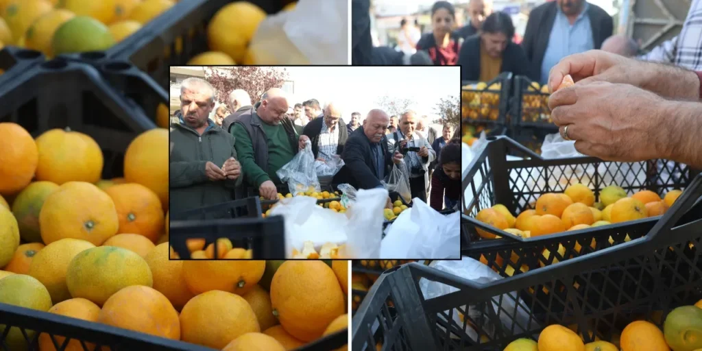 Mandarini di Samandağ: produzione a 2‑4 TL, vendita al dettaglio a 30 TL e distribuzione gratuita ai cittadini