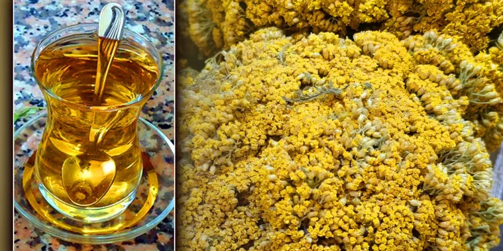 In inverno le persone preferiscono bevande calde e naturali: linden, salvia, zenzero e altre opzioni