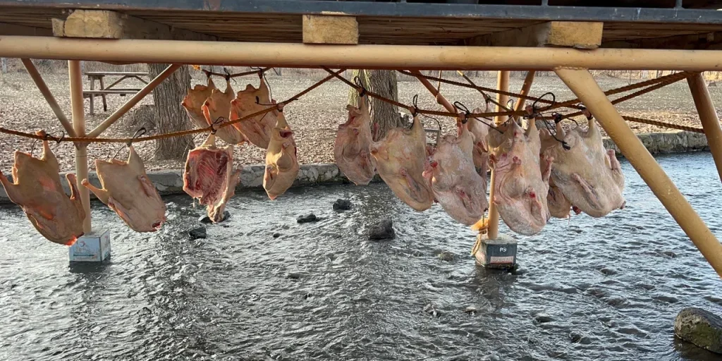 Acquisto di un oggetto per 6.000 TL