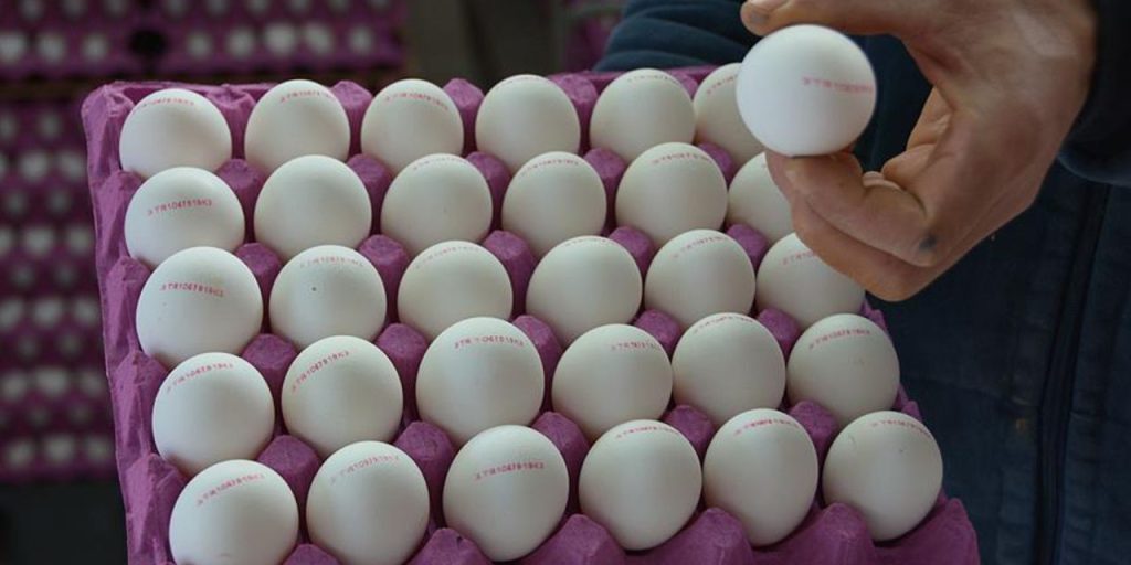Kolisi 240 lira oldu! Yumurta fiyatını yükselten 5 sebep