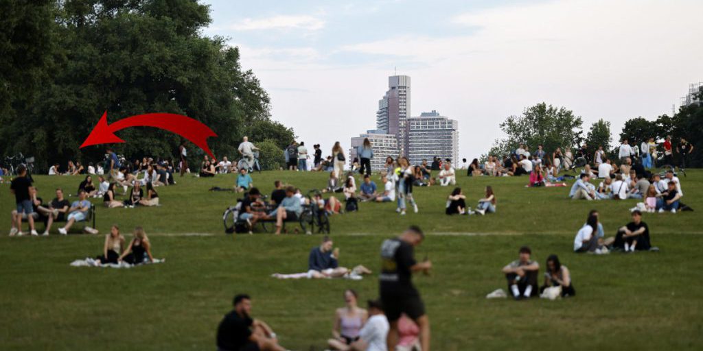 Staff del rifugio per animali della NRW scopre grave problema con i cani e intende presentare denuncia penale