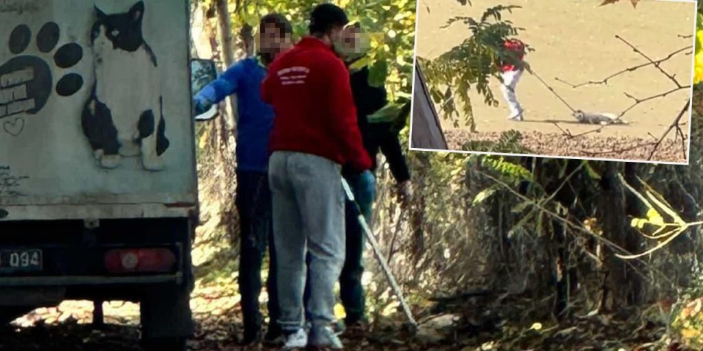 Caso di crudeltà verso un cane randagio: un dipendente del comune arrestato dopo un atto di violenza a Edirne