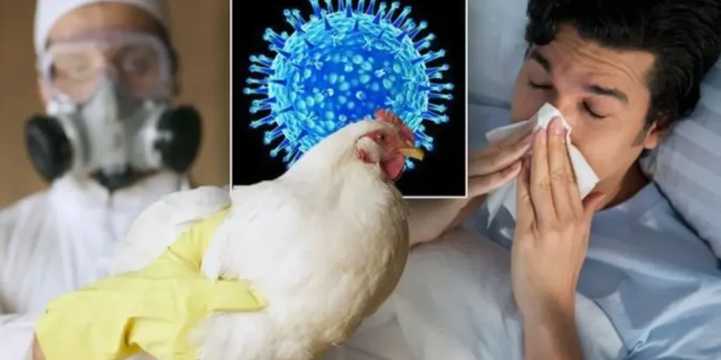 H5N5: primo decesso umano registrato a Washington