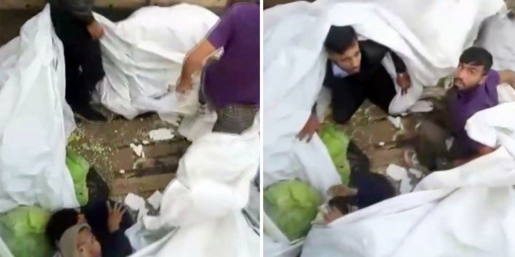 Migranti afgani trovati nascosti in un camion carico di lattuga sulla strada per l'Europa