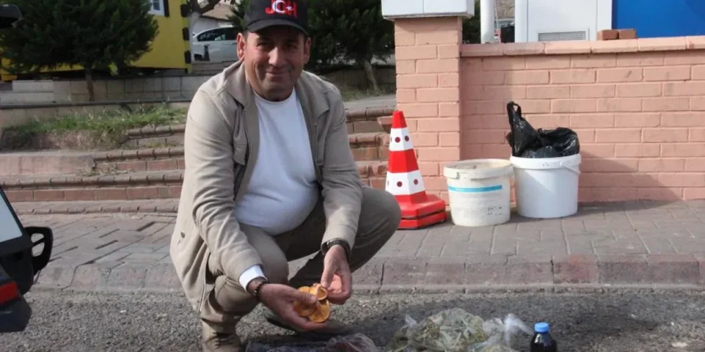 Funghi selvatici di Bozdoğan: prezzi variabili e pericoli della raccolta indiscriminata