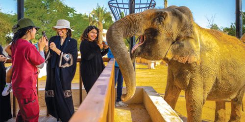 Riyadh Zoo inaugurato con oltre 1600 animali durante Musim Riyadh 2025