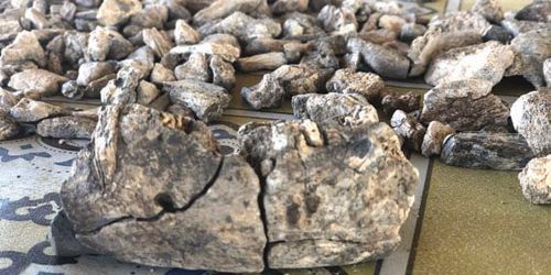 Fossili umani di 2,6 milioni di anni scoperti in Etiopia