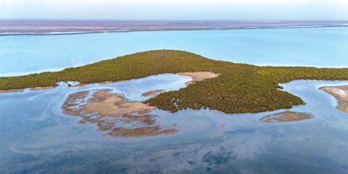 Isola Athar: tracce di una civiltà scomparsa nella costa di Jazan