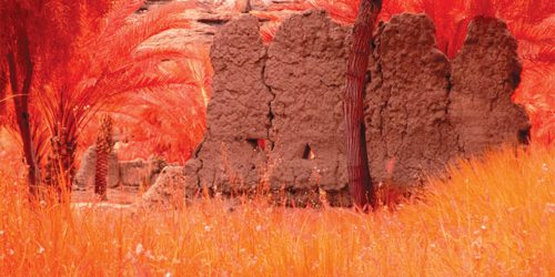 La mostra “La nostra terra” apre a AlUla dal 1 febbraio al 15 aprile 2026